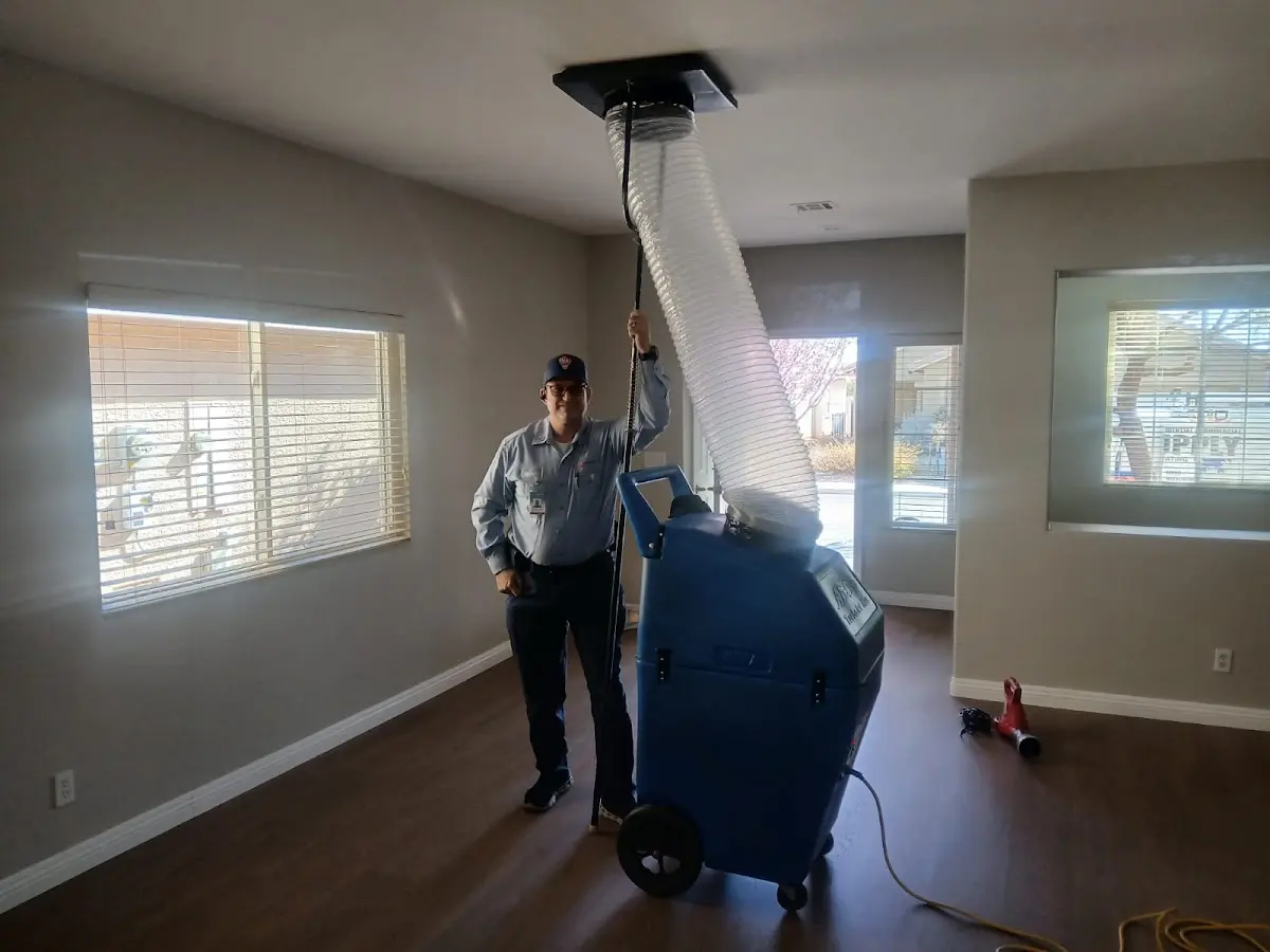 Professional Dryer Vent Cleaning work inside a York home